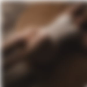 ArcherQpy